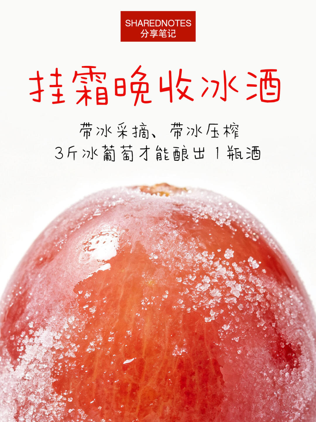 产品图